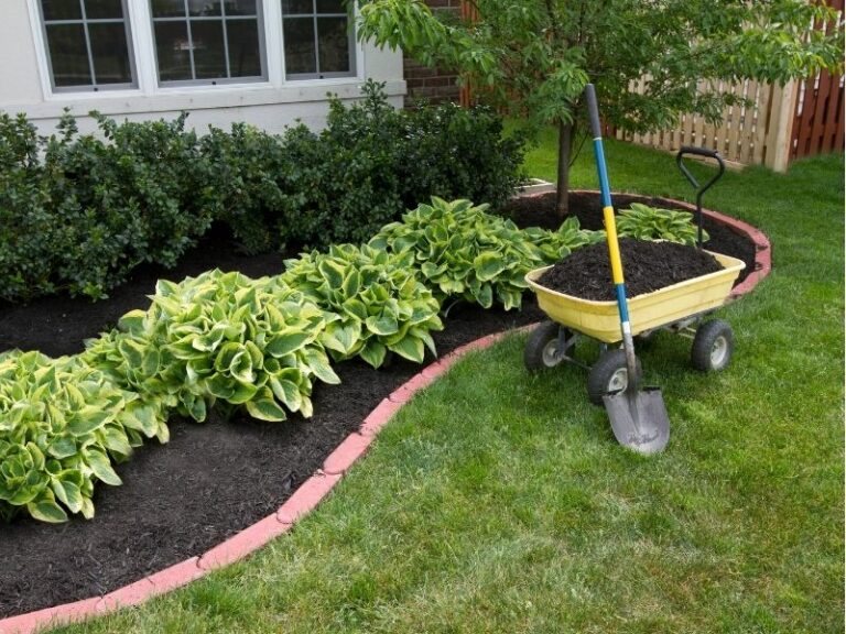 Mulching service by Eco-Lectric of Bradenton