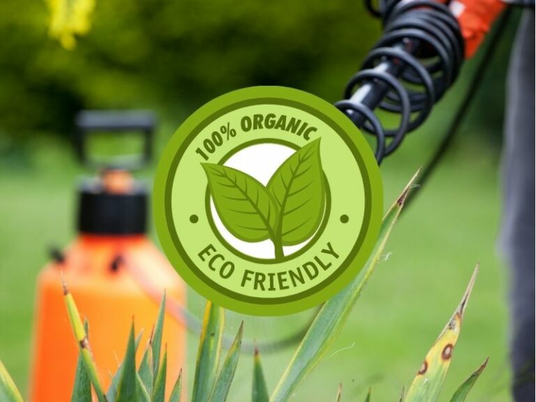 Pest Control service by Eco-Lectric of Bradenton